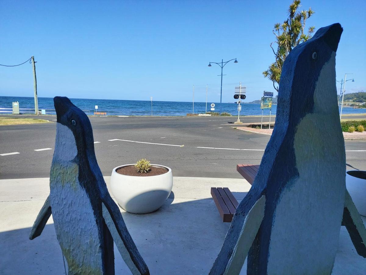 Empty Nest Apartment Penguin Exterior photo